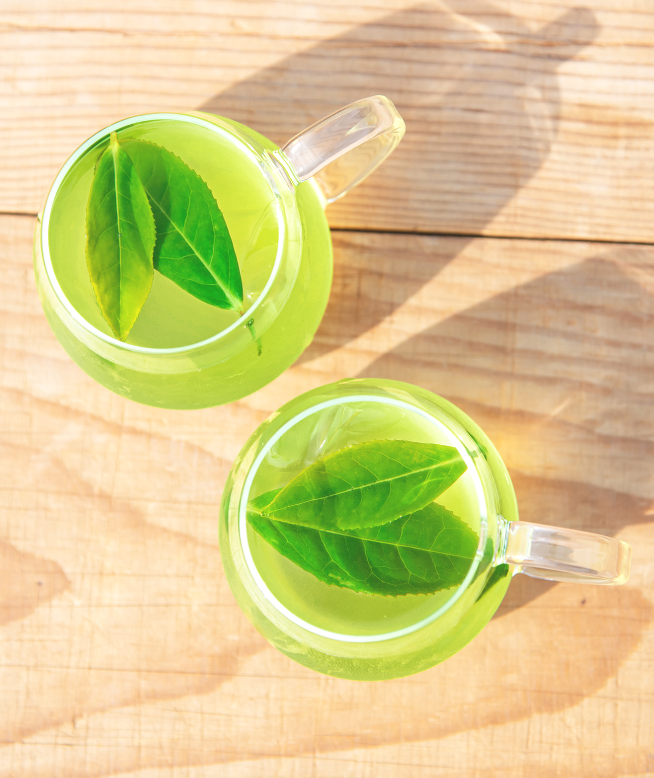 お茶のイメージ